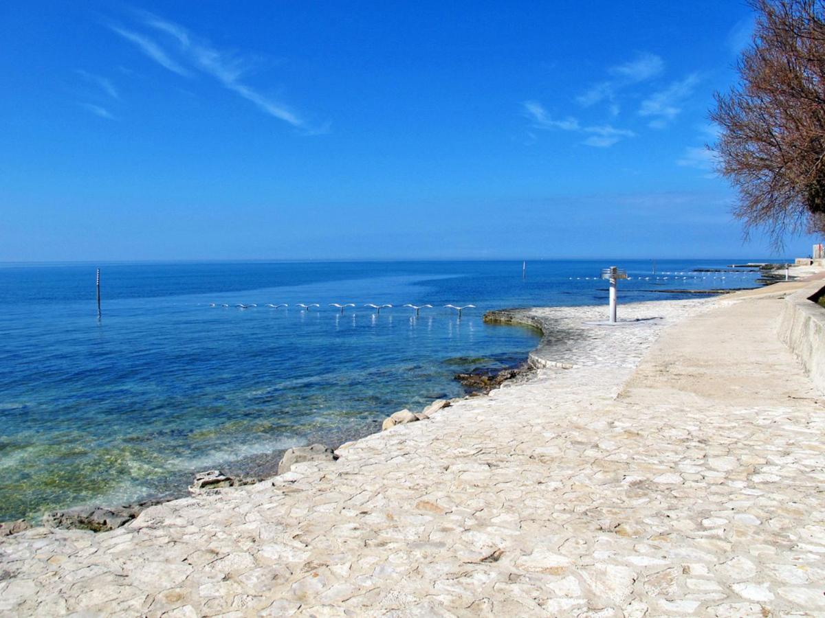 Apartment Marina - Nvg115 By Interhome Novigrad Istria المظهر الخارجي الصورة